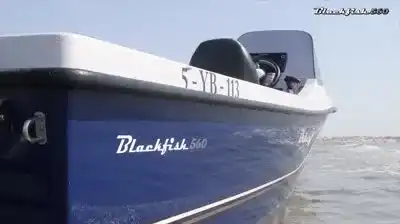 Orka Blackfish 560 19