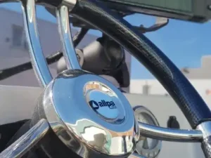 Orka Blackfish 560 2